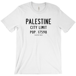 Palestine City Limits T-Shirts