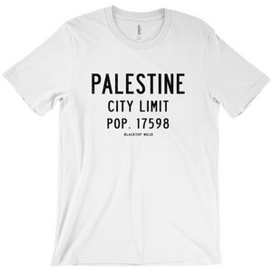 Palestine City Limits T-Shirts